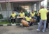 Grup Sisingaan Citra Kencana