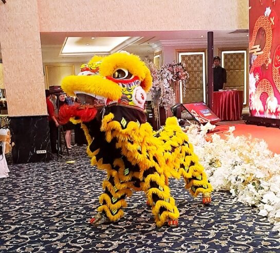 Grup Barongsai Koh Papoy