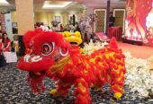 Sewa Barongsai Liong Kota Depok