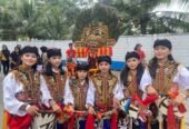 Grup Reog Ponorogo Mardiselo