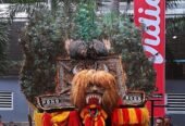 Grup Reog Ponorogo Mardiselo