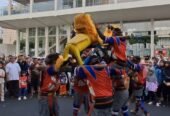 Sisingaan Cheer Production