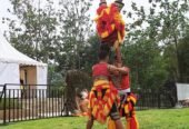 Reog Ponorogo Hadi Sugito
