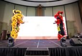 Barongsai Liong The Tjien Sing