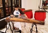 Musik Mandarin Guzheng Erhu