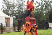 Reog Ponorogo Suromenggolo