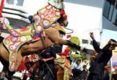 Kuda Renggong Citra Kencana