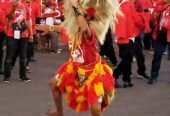 Grup Reog Ponorogo Mardiselo